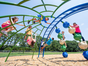 Dome Climber with Orbs (455-1J)