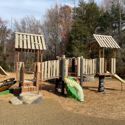 playground equipment designed to look like a natural structure and features plastic bugs