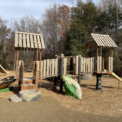 playground with a natural design featuring plastic bugs